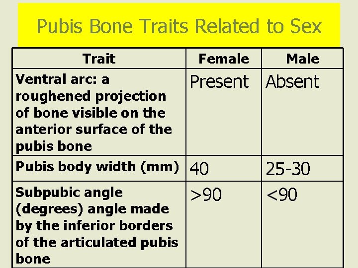 Pubis Bone Traits Related to Sex Trait Ventral arc: a roughened projection of bone