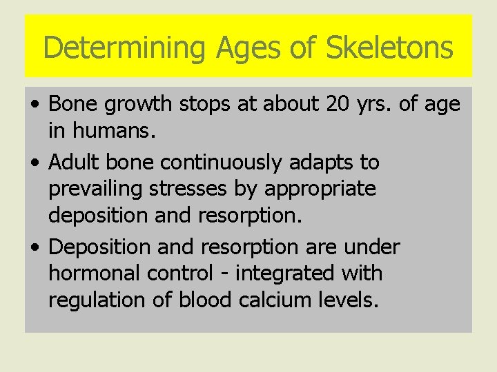 Determining Ages of Skeletons • Bone growth stops at about 20 yrs. of age