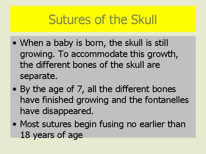 Sutures of the Skull • When a baby is born, the skull is still