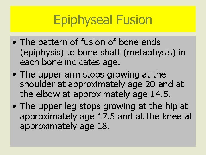 Epiphyseal Fusion • The pattern of fusion of bone ends (epiphysis) to bone shaft