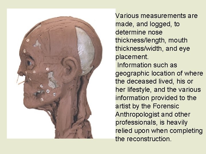 Various measurements are made, and logged, to determine nose thickness/length, mouth thickness/width, and eye