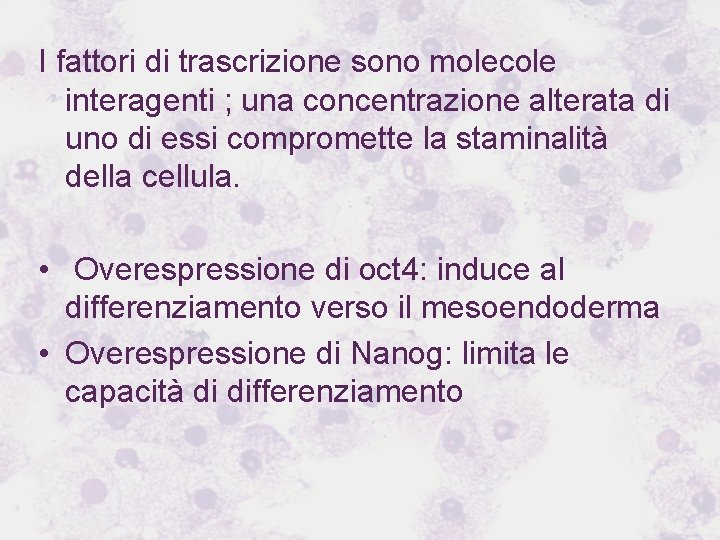 I fattori di trascrizione sono molecole interagenti ; una concentrazione alterata di uno di