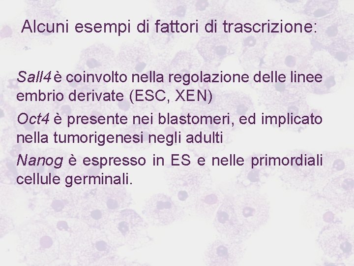 Alcuni esempi di fattori di trascrizione: Sall 4 è coinvolto nella regolazione delle linee