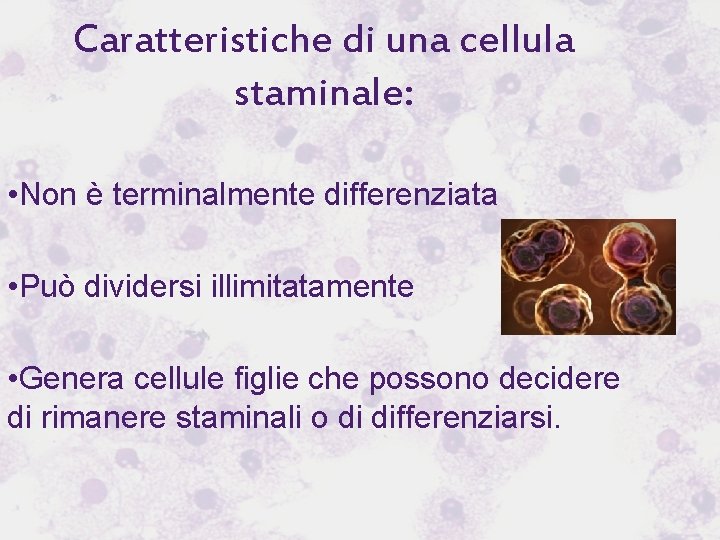 Caratteristiche di una cellula staminale: • Non è terminalmente differenziata • Può dividersi illimitatamente