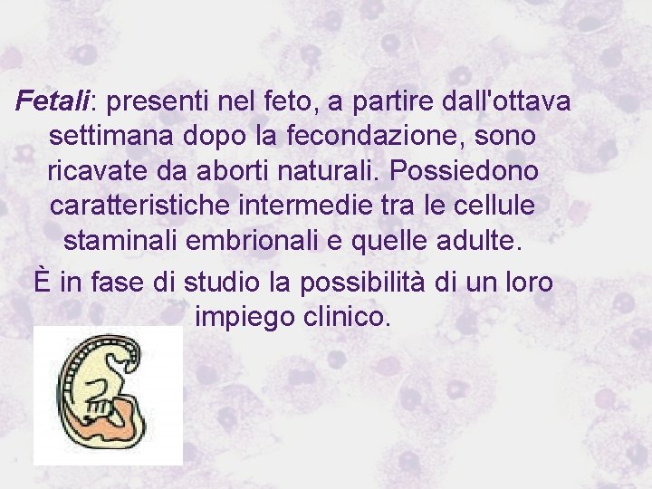 Fetali: presenti nel feto, a partire dall'ottava settimana dopo la fecondazione, sono ricavate da