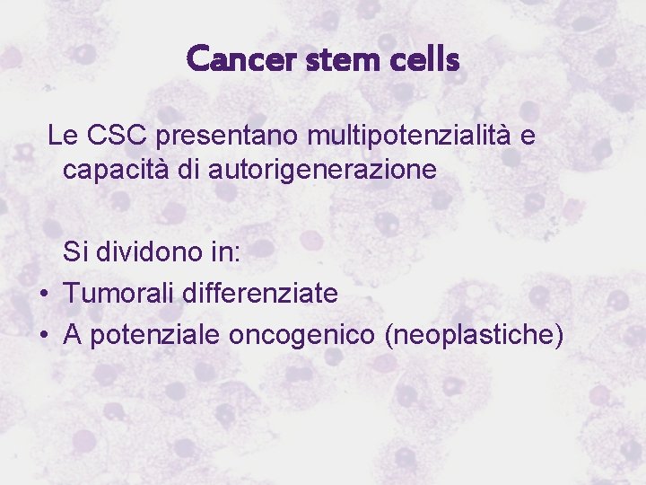Cancer stem cells Le CSC presentano multipotenzialità e capacità di autorigenerazione Si dividono in: