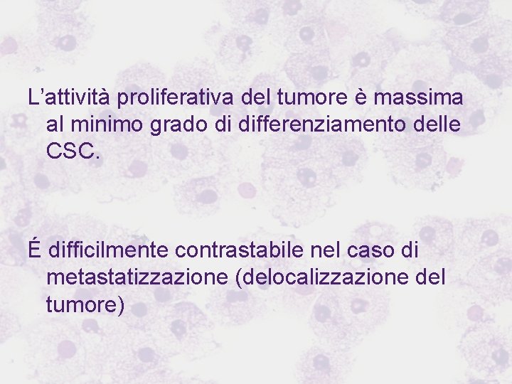 L’attività proliferativa del tumore è massima al minimo grado di differenziamento delle CSC. É