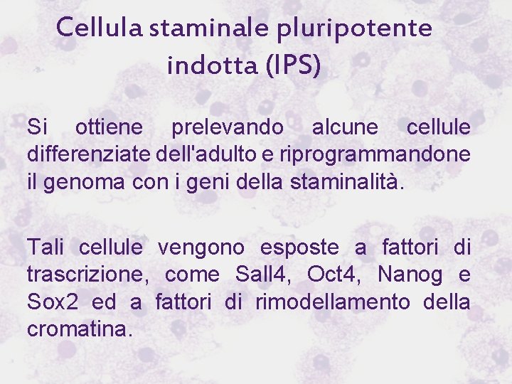 Cellula staminale pluripotente indotta (IPS) Si ottiene prelevando alcune cellule differenziate dell'adulto e riprogrammandone