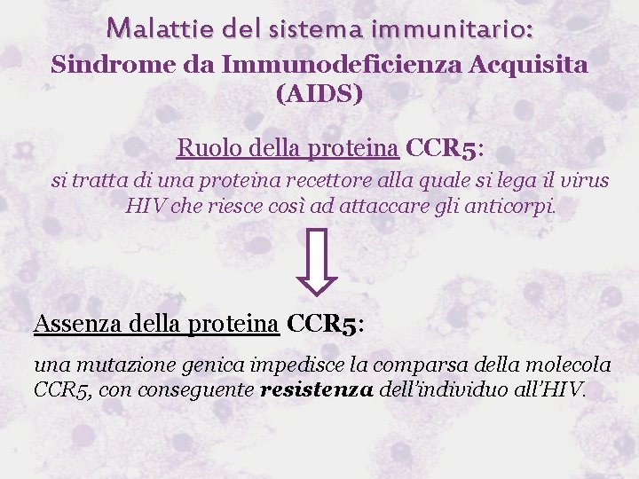 Malattie del sistema immunitario: Sindrome da Immunodeficienza Acquisita (AIDS) Ruolo della proteina CCR 5: