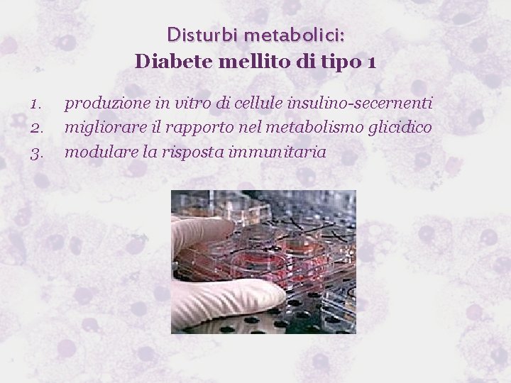 Disturbi metabolici: Diabete mellito di tipo 1 1. 2. 3. produzione in vitro di