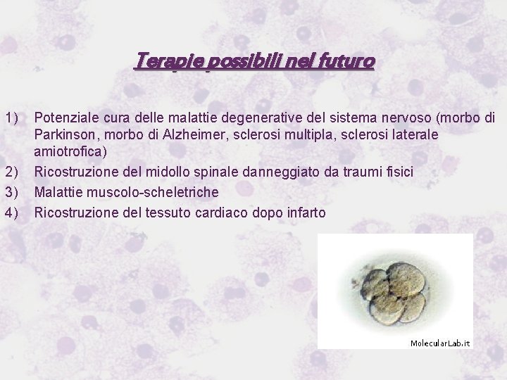 Terapie possibili nel futuro 1) 2) 3) 4) Potenziale cura delle malattie degenerative del