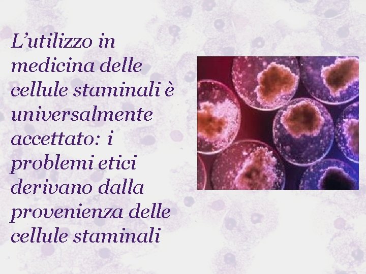 L’utilizzo in medicina delle cellule staminali è universalmente accettato: i problemi etici derivano dalla