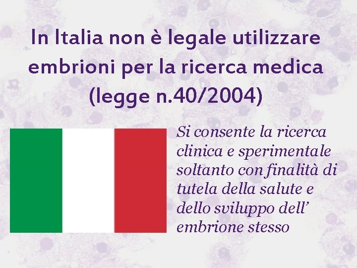 In Italia non è legale utilizzare embrioni per la ricerca medica (legge n. 40/2004)