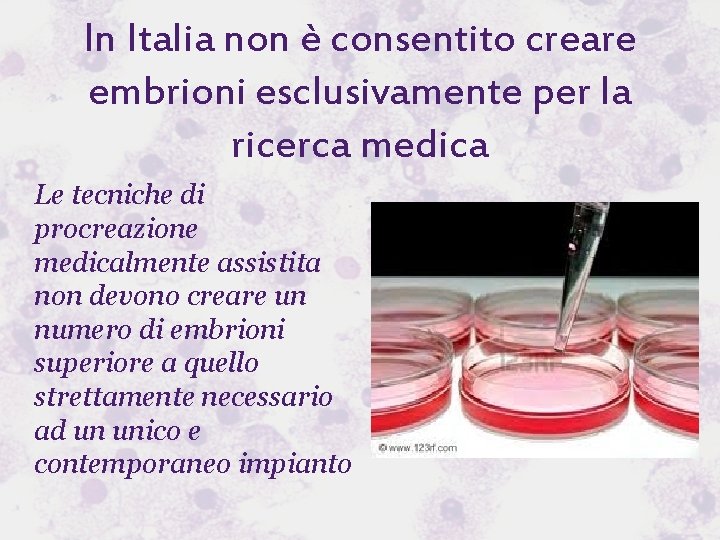 In Italia non è consentito creare embrioni esclusivamente per la ricerca medica Le tecniche