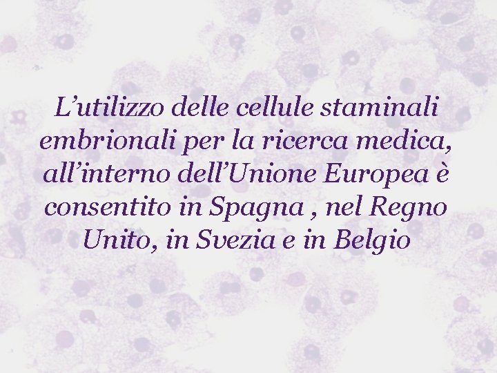 L’utilizzo delle cellule staminali embrionali per la ricerca medica, all’interno dell’Unione Europea è consentito