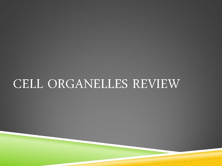 CELL ORGANELLES REVIEW 