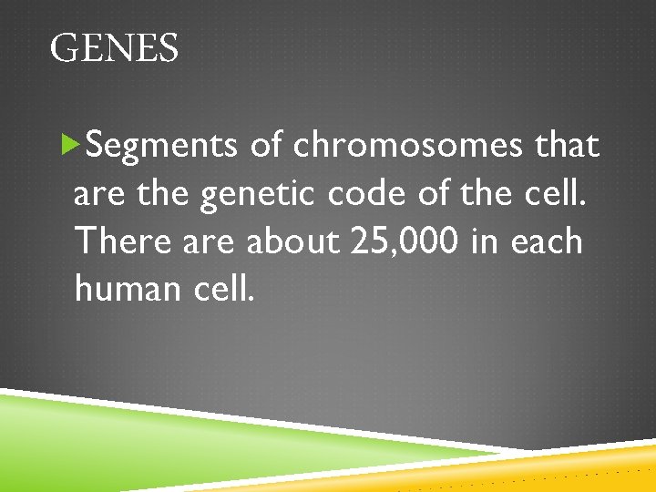 GENES Segments of chromosomes that are the genetic code of the cell. There about