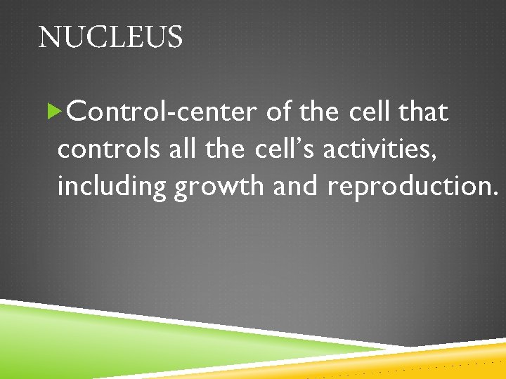 NUCLEUS Control-center of the cell that controls all the cell’s activities, including growth and