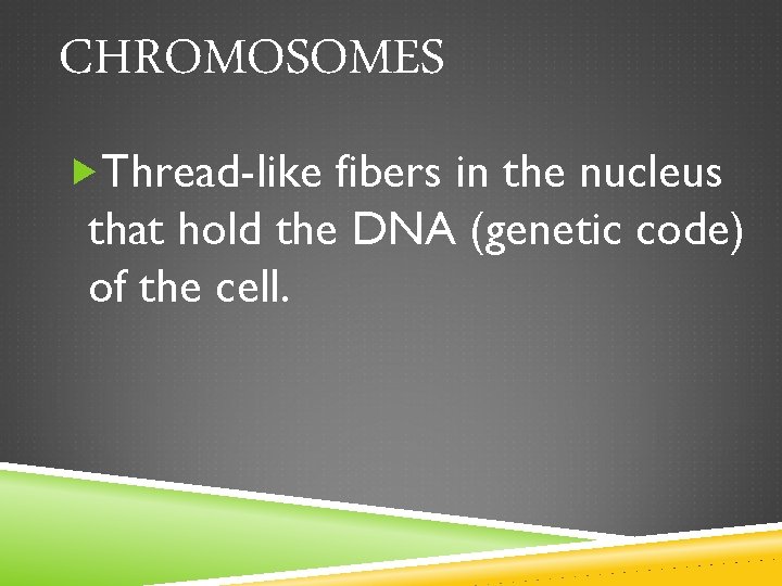CHROMOSOMES Thread-like fibers in the nucleus that hold the DNA (genetic code) of the