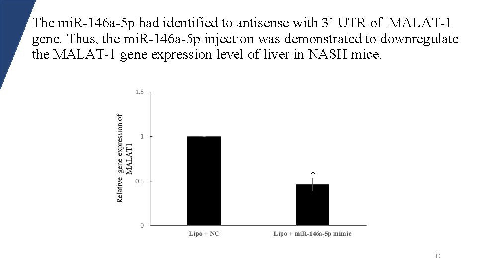 The mi. R-146 a-5 p had identified to antisense with 3’ UTR of MALAT-1