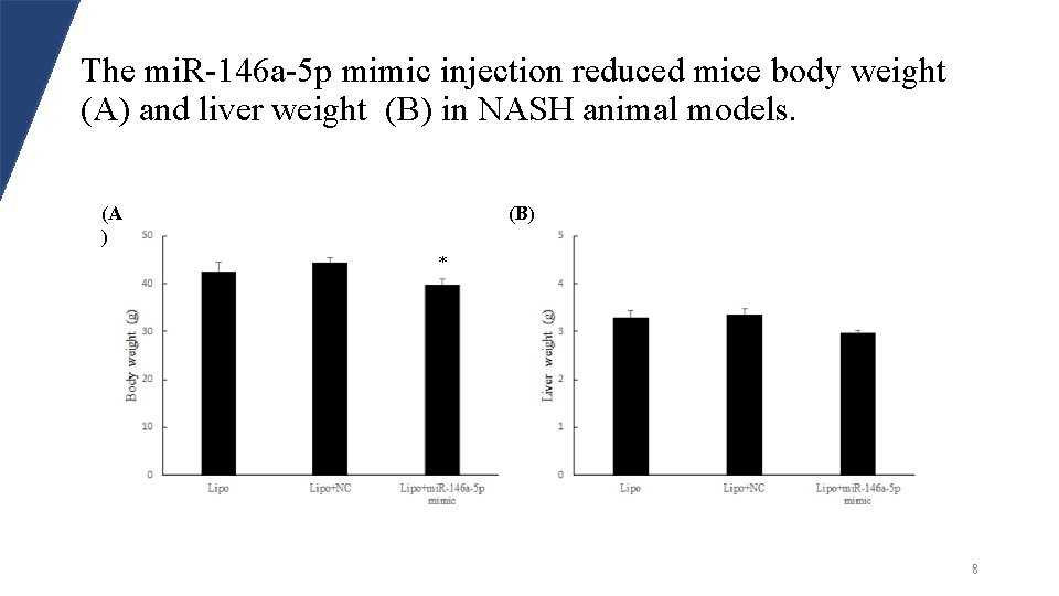 The mi. R-146 a-5 p mimic injection reduced mice body weight (A) and liver