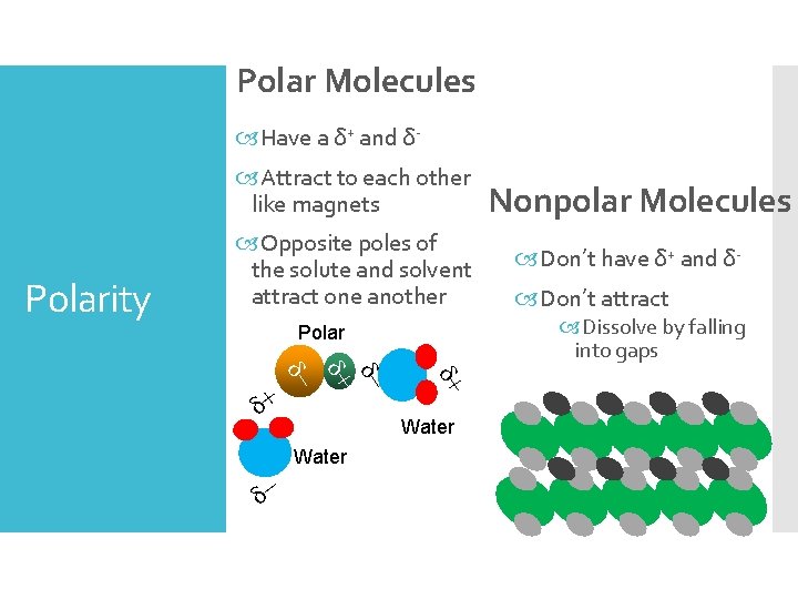 Polar Molecules Have a δ+ and δ Attract to each other like magnets Polarity Polar Molecules Have a δ+ and δ Attract to each other like magnets Polarity