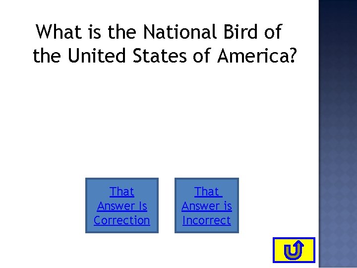 What is the National Bird of the United States of America? That Answer Is