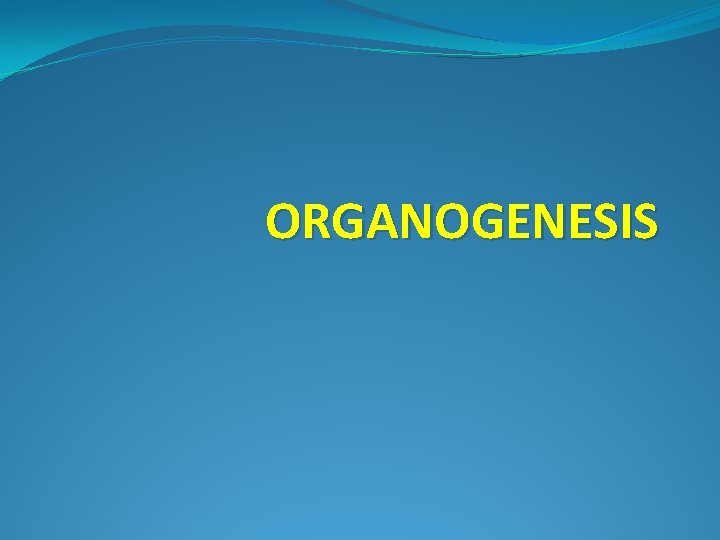 ORGANOGENESIS 