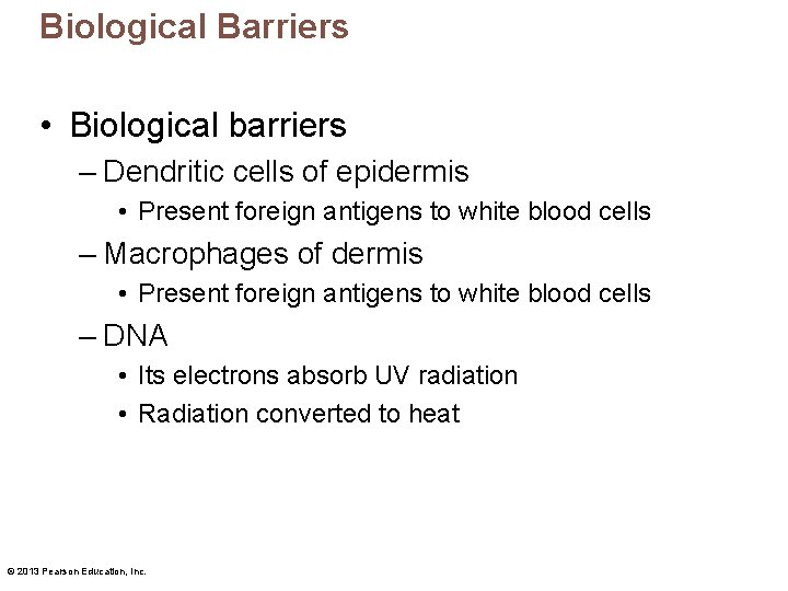 Biological Barriers • Biological barriers – Dendritic cells of epidermis • Present foreign antigens
