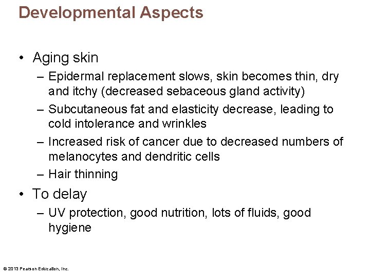 Developmental Aspects • Aging skin – Epidermal replacement slows, skin becomes thin, dry and