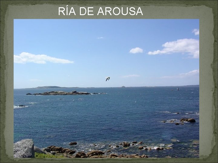 RÍA DE AROUSA 