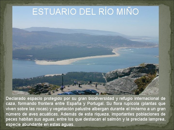 ESTUARIO DEL RÍO MIÑO Declarado espacio protegido por su gran biodiversidad y refugio internacional