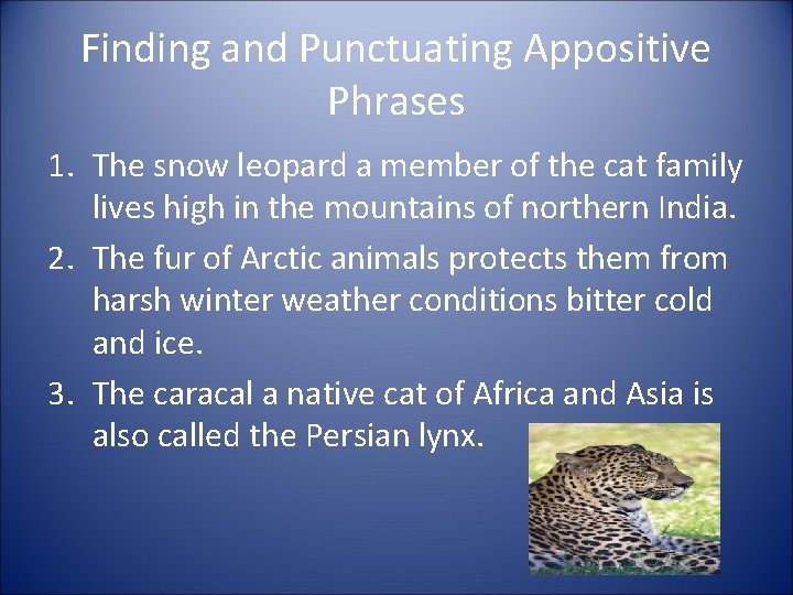 Finding and Punctuating Appositive Phrases 1. The snow leopard a member of the cat
