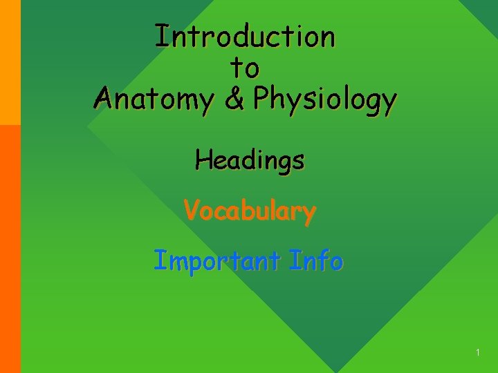 Introduction to Anatomy & Physiology Headings Vocabulary Important Info 1 