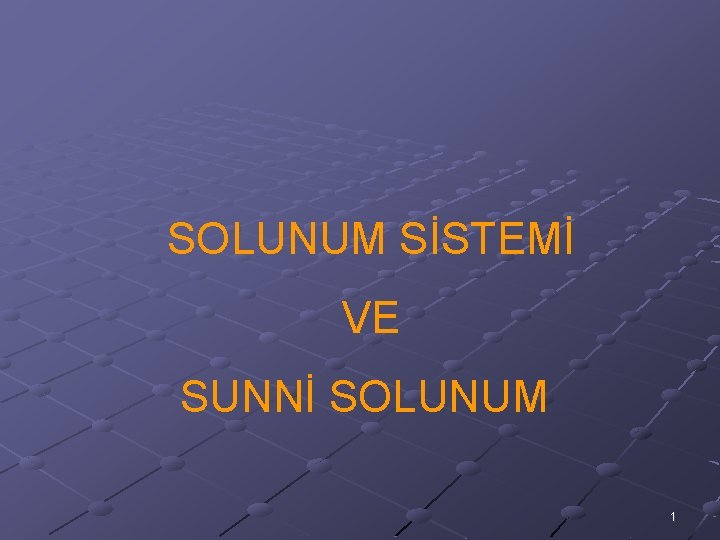 SOLUNUM SİSTEMİ VE SUNNİ SOLUNUM 1 