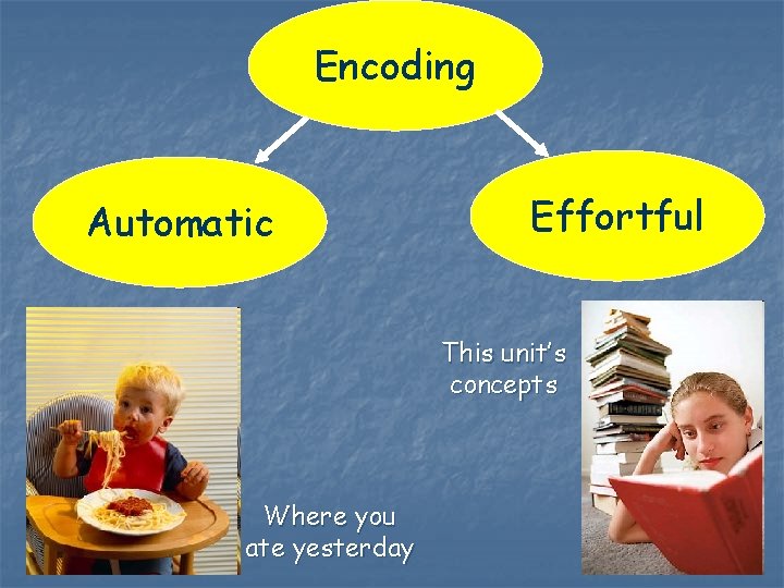 Encoding Automatic Effortful This unit’s concepts Where you ate yesterday 