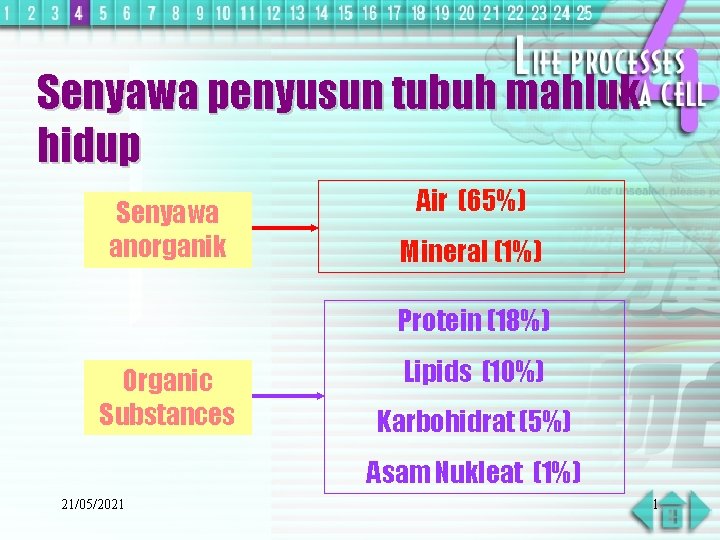 Senyawa penyusun tubuh mahluk hidup Senyawa anorganik Air (65%) Mineral (1%) Protein (18%) Organic