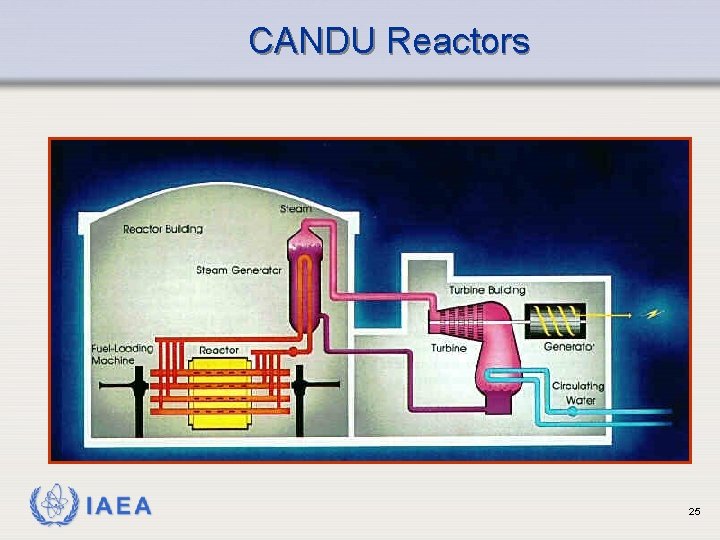 CANDU Reactors IAEA 25 