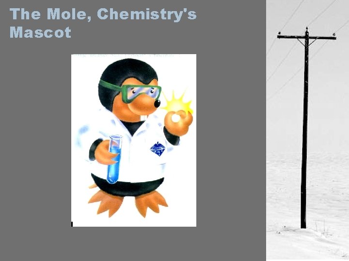 The Mole, Chemistry's Mascot 