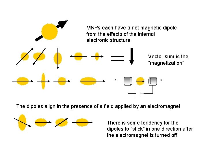 MNPs each have a net magnetic dipole from the effects of the internal electronic