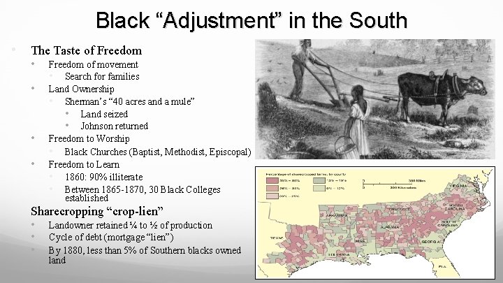 Black “Adjustment” in the South • The Taste of Freedom • • • Freedom