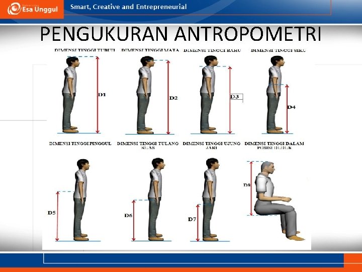 PENGUKURAN ANTROPOMETRI PENGUKURAN ANTROPOMETRI