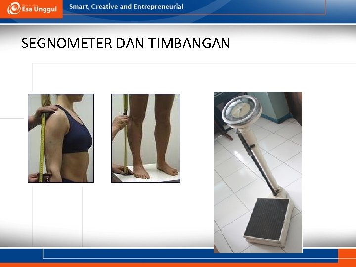 SEGNOMETER DAN TIMBANGAN SEGNOMETER DAN TIMBANGAN
