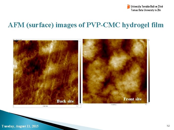 AFM (surface) images of PVP-CMC hydrogel film Back site Tuesday, August 11, 2015 Front