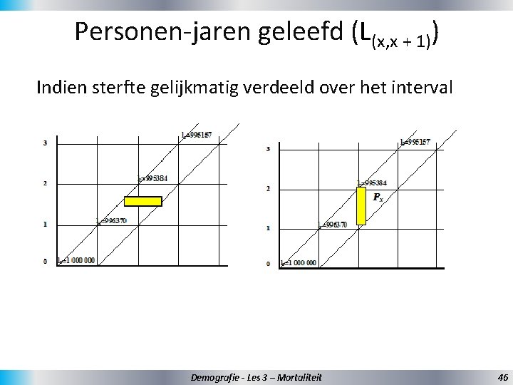 Personen-jaren geleefd (L(x, x + 1)) Indien sterfte gelijkmatig verdeeld over het interval Demografie