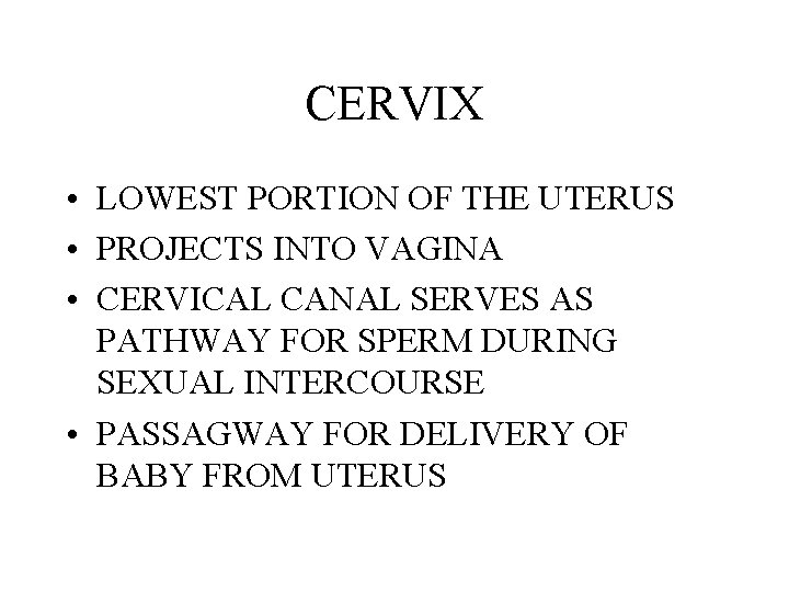 CERVIX • LOWEST PORTION OF THE UTERUS • PROJECTS INTO VAGINA • CERVICAL CANAL