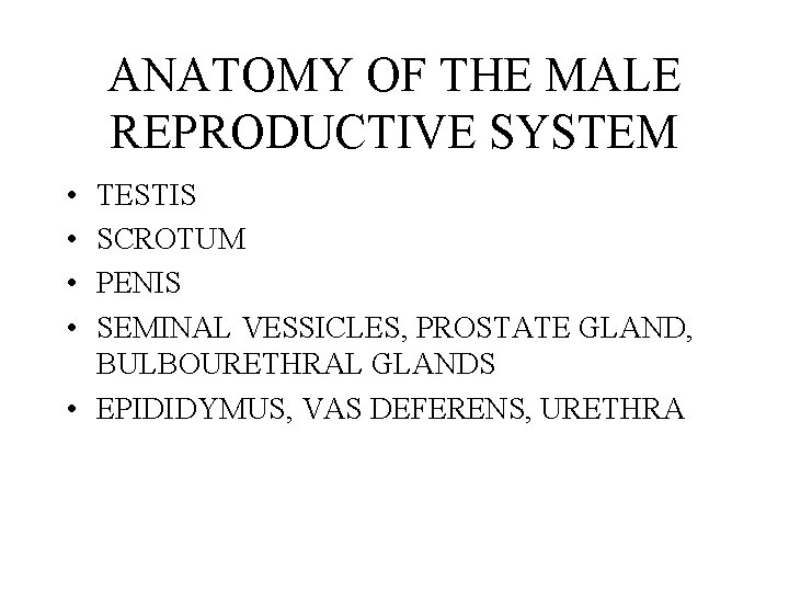 ANATOMY OF THE MALE REPRODUCTIVE SYSTEM • • TESTIS SCROTUM PENIS SEMINAL VESSICLES, PROSTATE