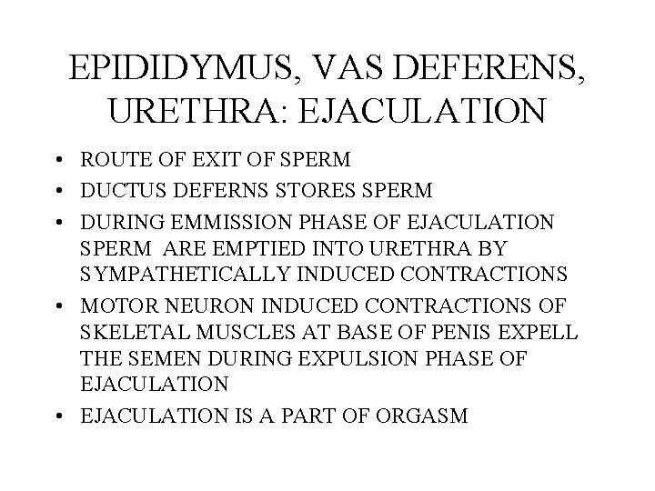 EPIDIDYMUS, VAS DEFERENS, URETHRA: EJACULATION • ROUTE OF EXIT OF SPERM • DUCTUS DEFERNS