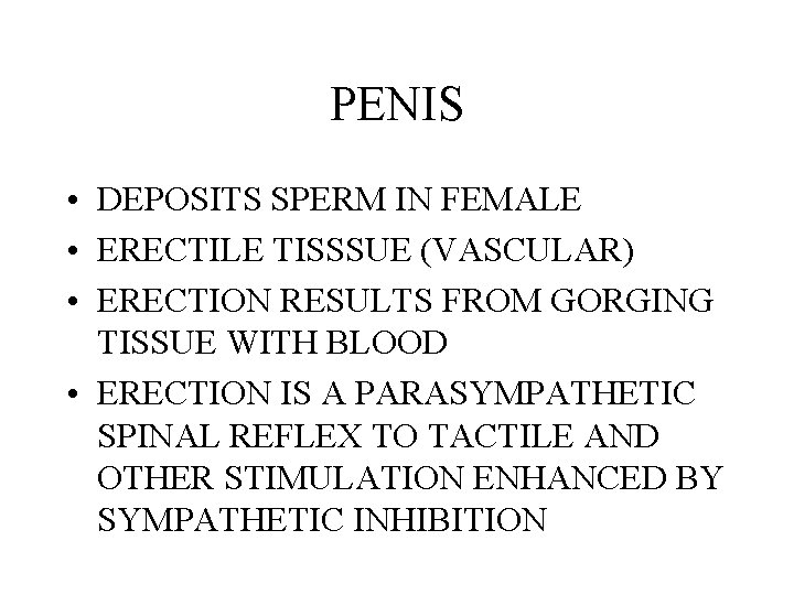 PENIS • DEPOSITS SPERM IN FEMALE • ERECTILE TISSSUE (VASCULAR) • ERECTION RESULTS FROM