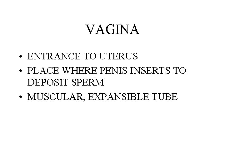 VAGINA • ENTRANCE TO UTERUS • PLACE WHERE PENIS INSERTS TO DEPOSIT SPERM •